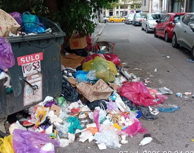 Primăria explică prezența șobolanilor în zona Pieței Sf. Vineri și măsurile de combatere