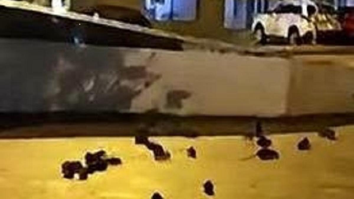 Invazie de șobolani în zona Pieței Sfântu Vineri: PMB acuză furtul stațiilor de deratizare