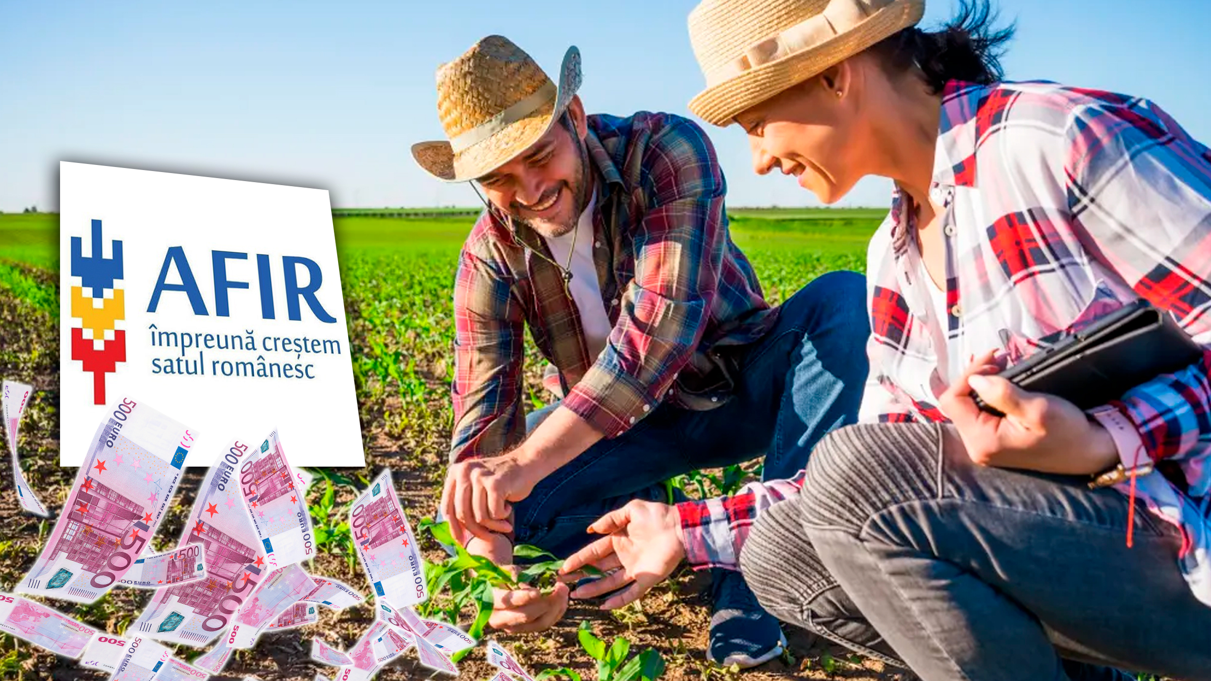 Fonduri europene pentru consolidarea exploatațiilor agricole: AFIR pune la dispoziție 170 de milioane de euro