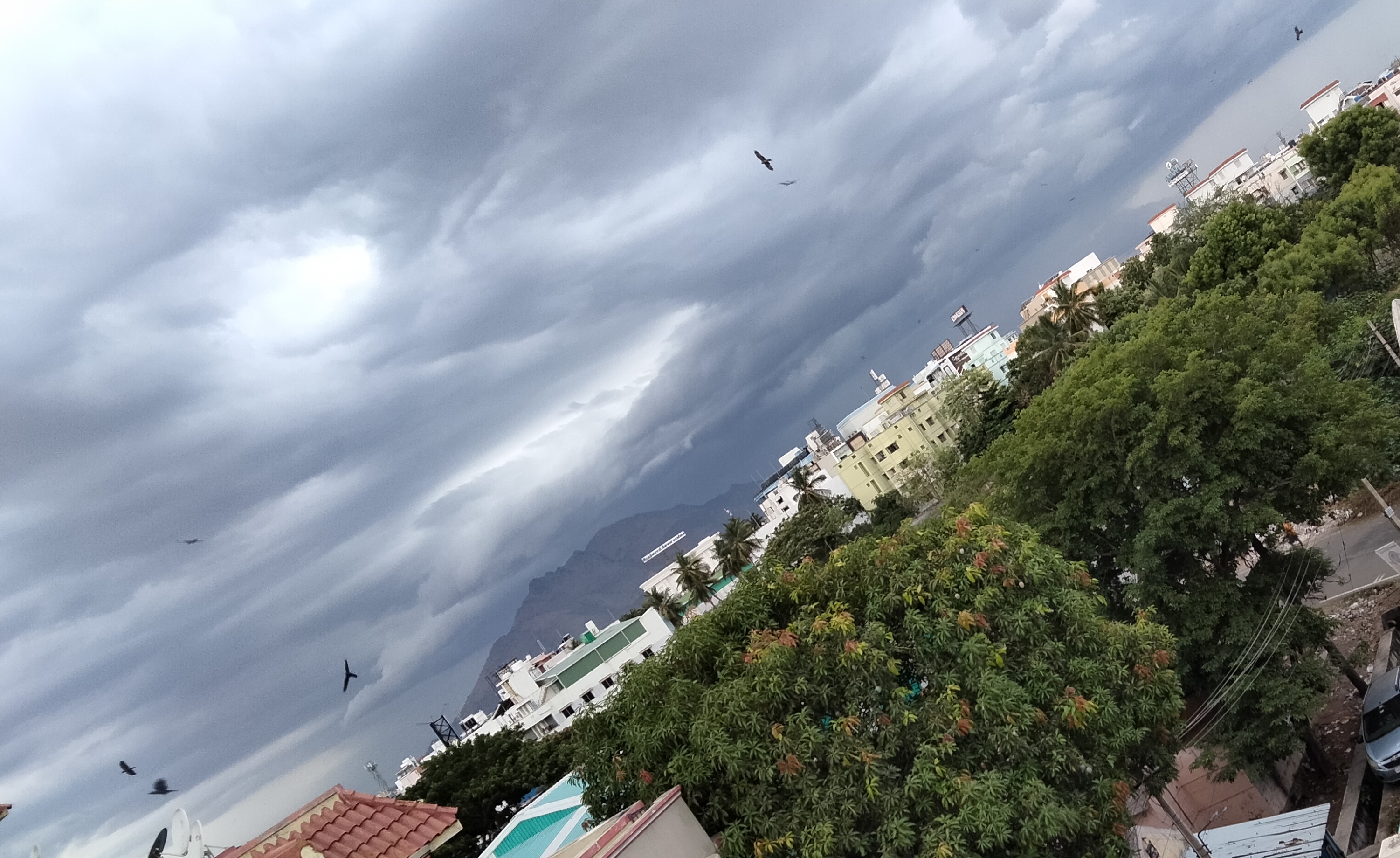 Avertismente meteo de la ANM: Cod galben de vânt în opt județe și precipitații la munte