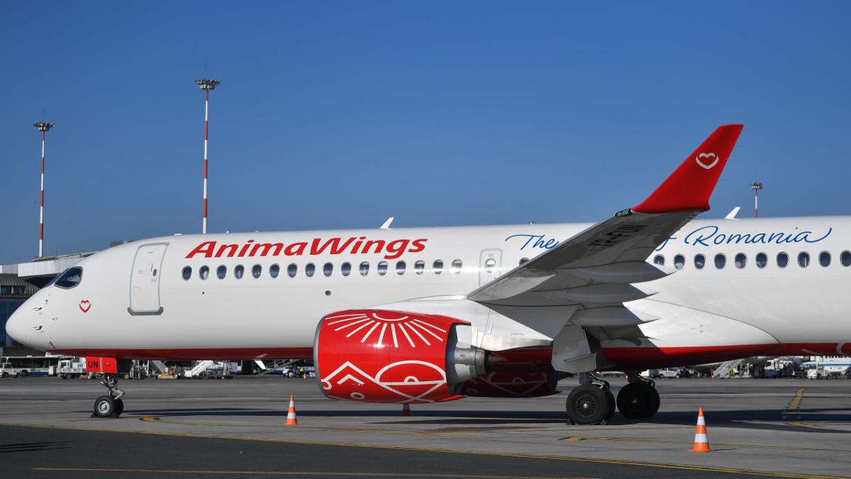 AnimaWings prelungește suspendarea zborurilor după ce Tribunalul București a respins cererea de insolvență