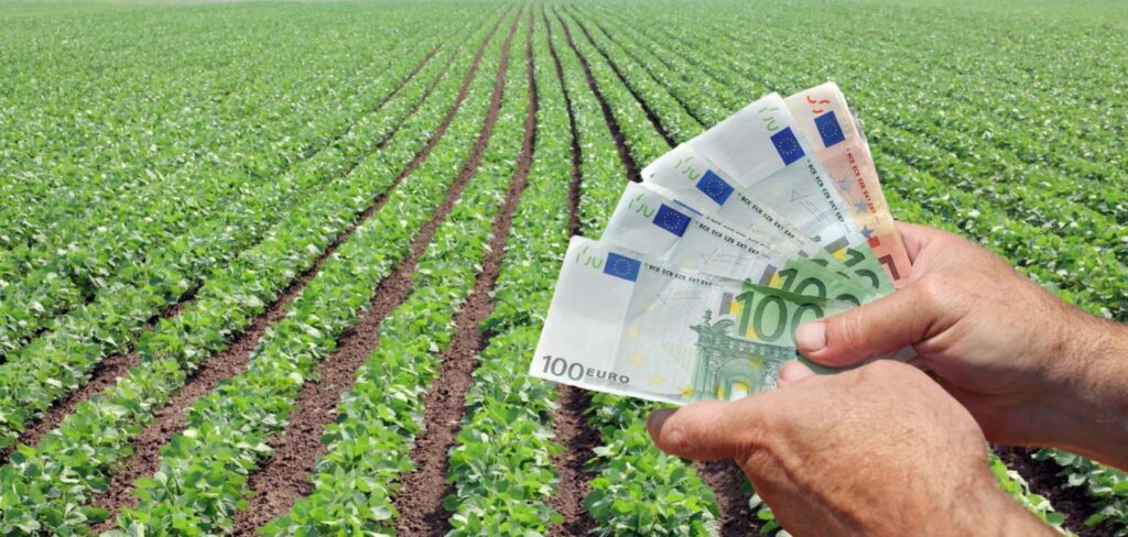 APIA a plătit peste 124 de milioane de euro către 103.755 de fermieri în prima zi de avans subvenții