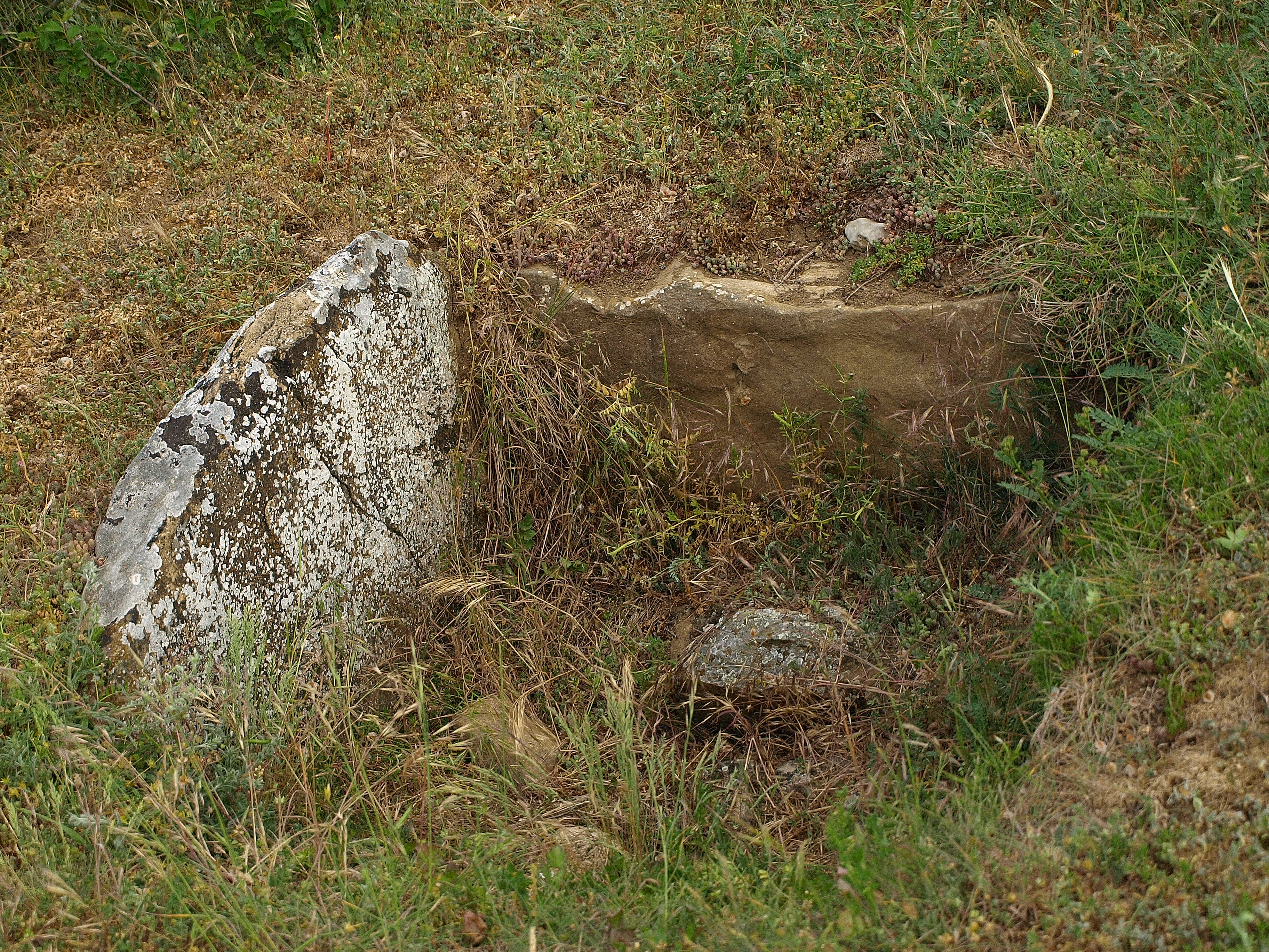 Cutremur în județul Gorj, în primele ore ale zilei de sâmbătă