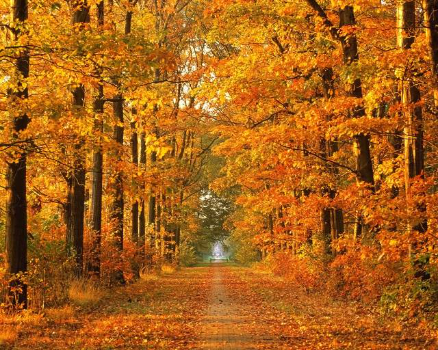 Schimbări meteorologice în România: de la temperaturi scăzute și ninsori la posibila încălzire în octombrie