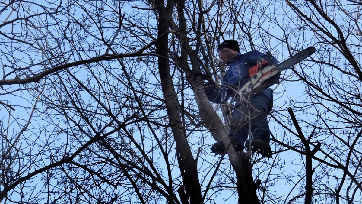 Tragedie în Botoșani: Un inginer silvic a murit după ce a fost lovit de o creangă în cadrul unei unități militare