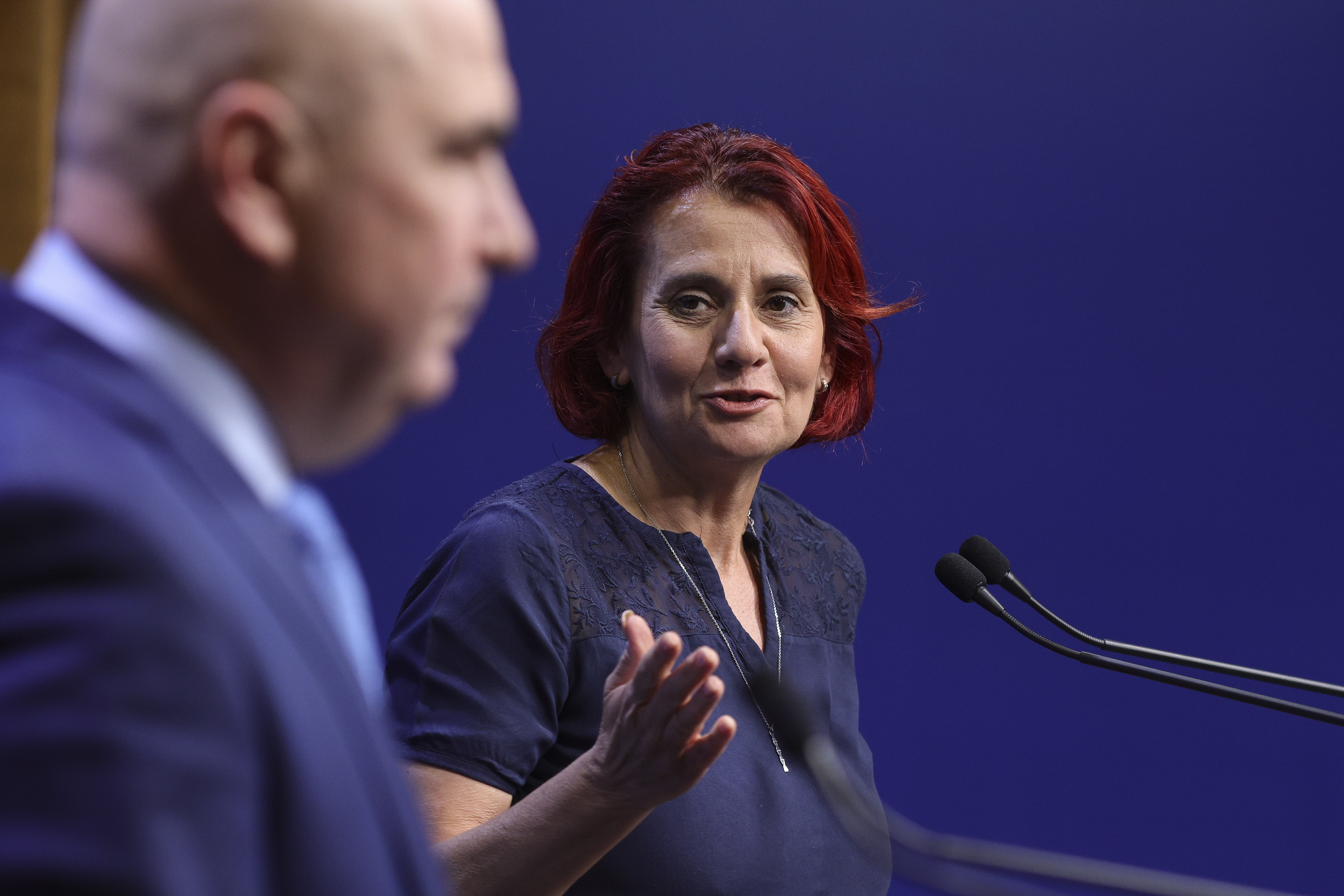 Ioana Dogioiu a demisionat din funcția de purtător de cuvânt al Guvernului