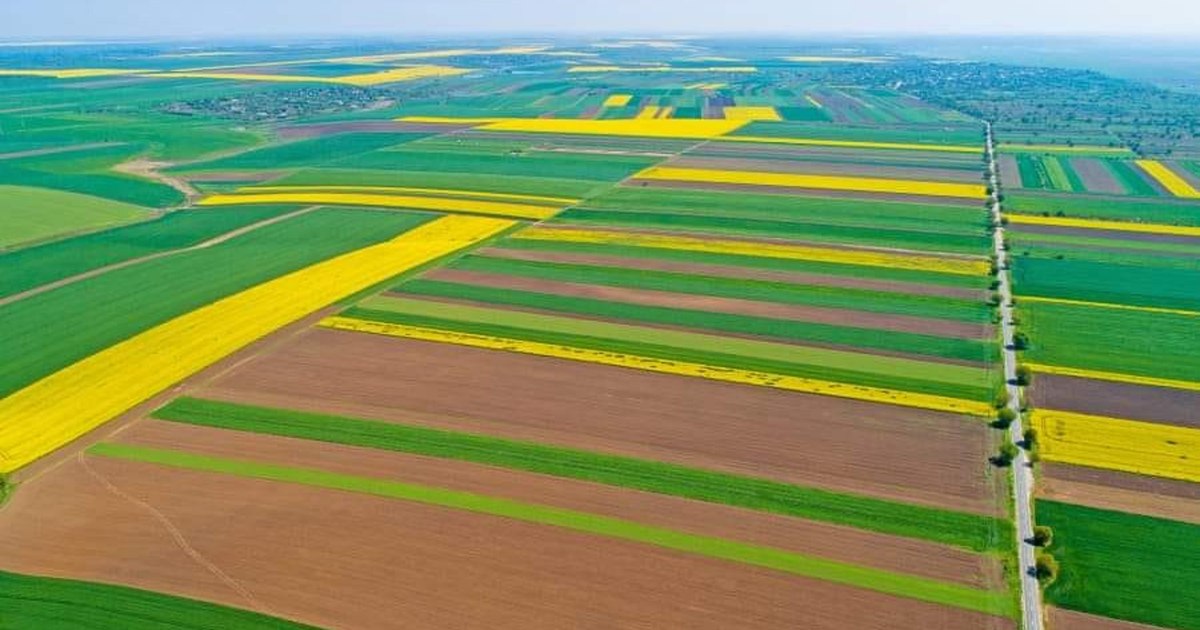 Ministerul Agriculturii pregătește leasingul funciar pentru fermieri