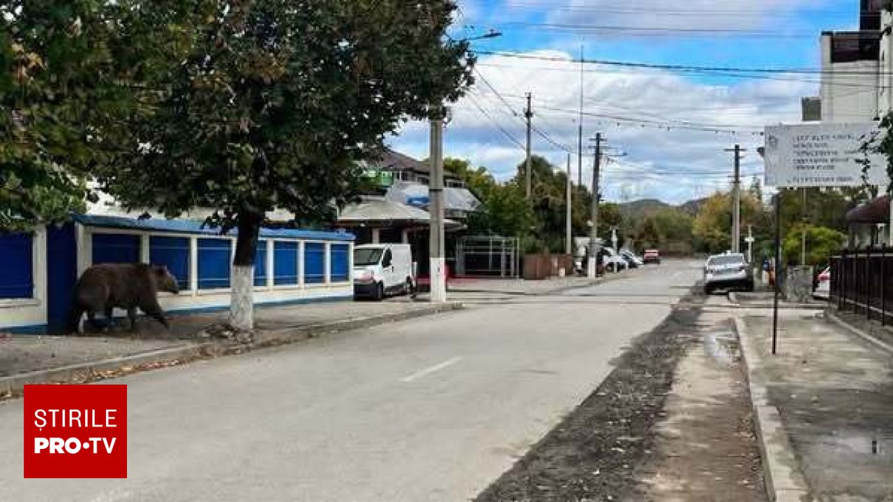 Alertă falsă în Câmpina: Mesaj RO-Alert și apel la 112 declanșate de o fotografie generată cu inteligența artificială