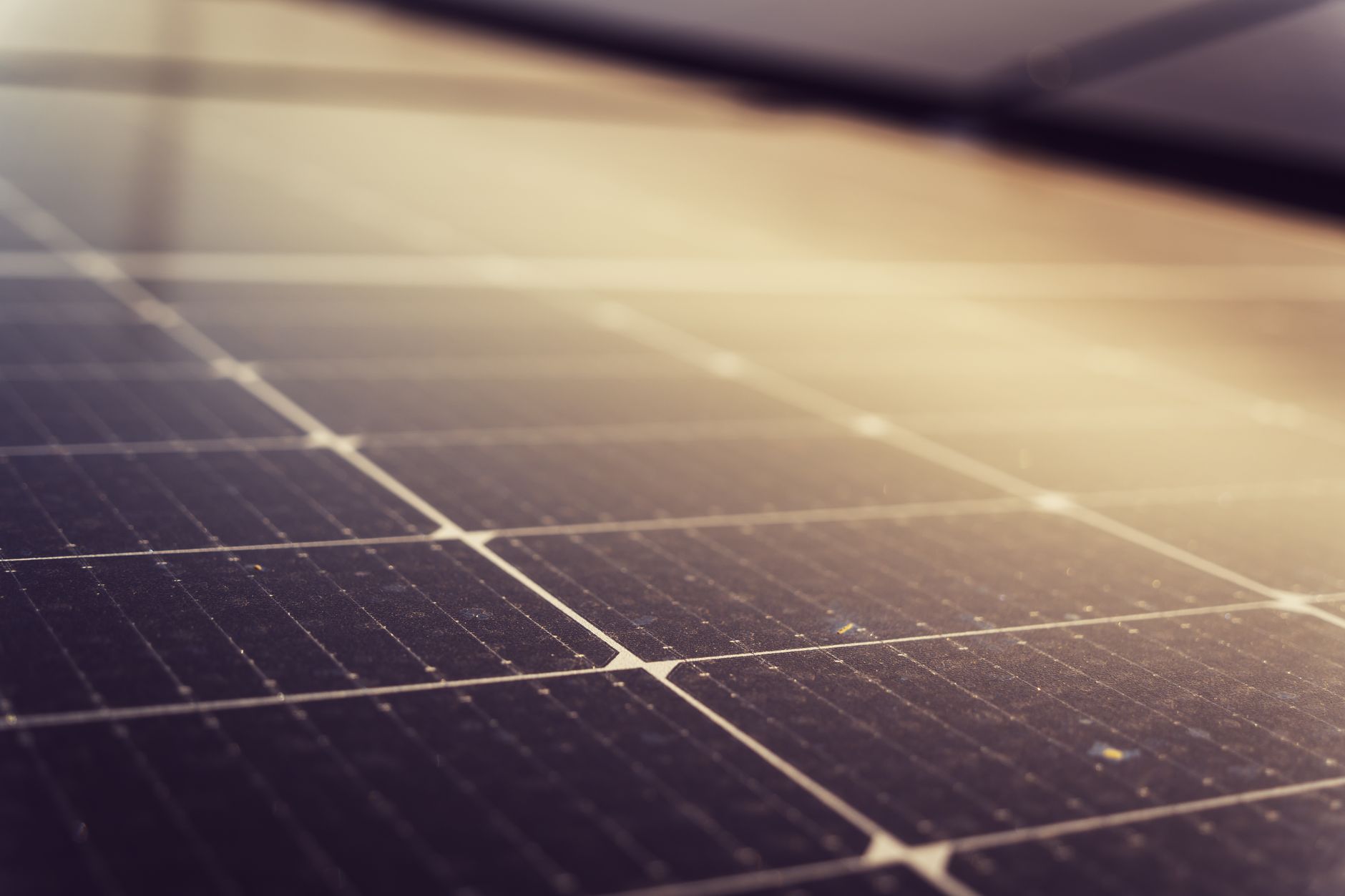 Grupul Carmistin investește în sustenabilitate și energie verde pentru reducerea amprentei de carbon