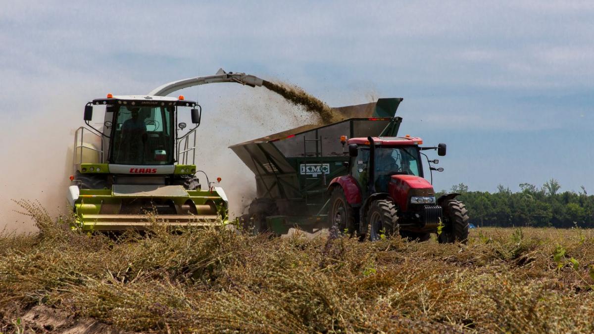 Explozie de insolvențe în agricultură: peste 270 de companii au intrat în faliment în primele opt luni