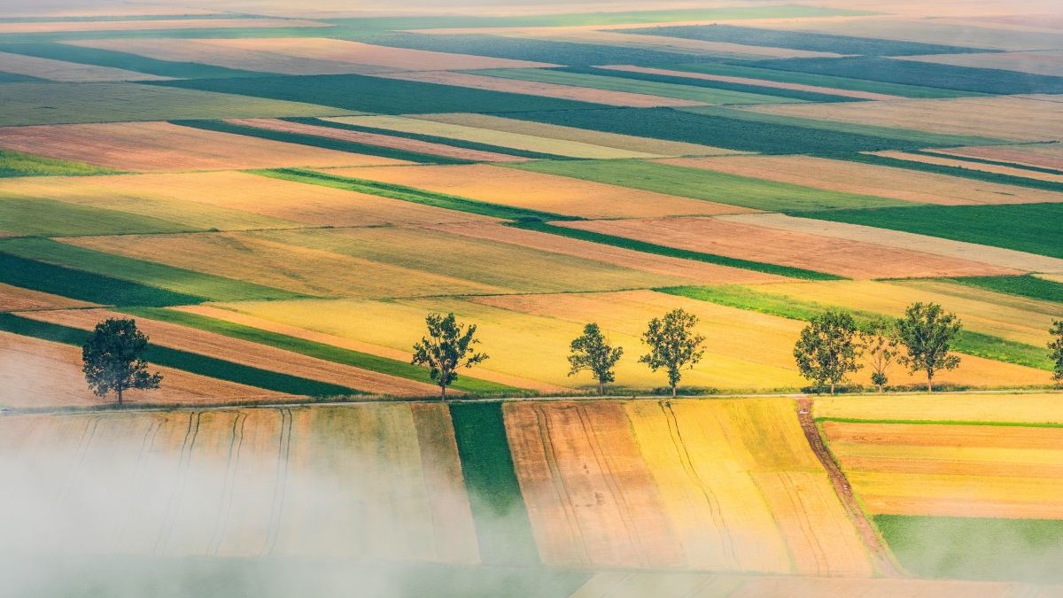Prețul mediu al unui hectar de teren agricol în România a ajuns la peste 36.000 de lei