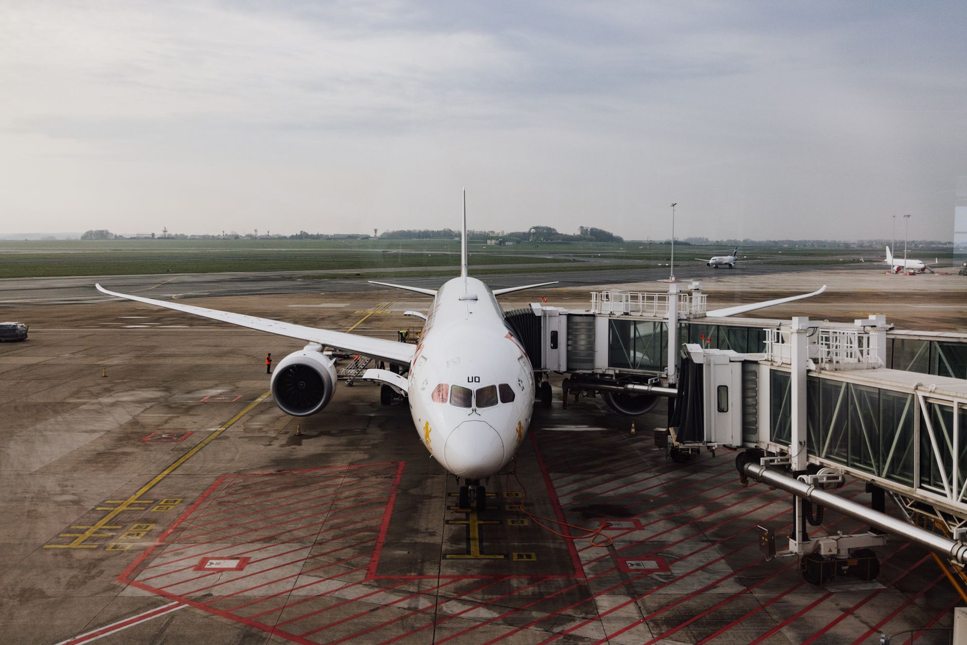 Dan Air solicită insolvența pentru a evita blocarea zborurilor: datorie de peste un milion de lei la Aeroportul Bacău