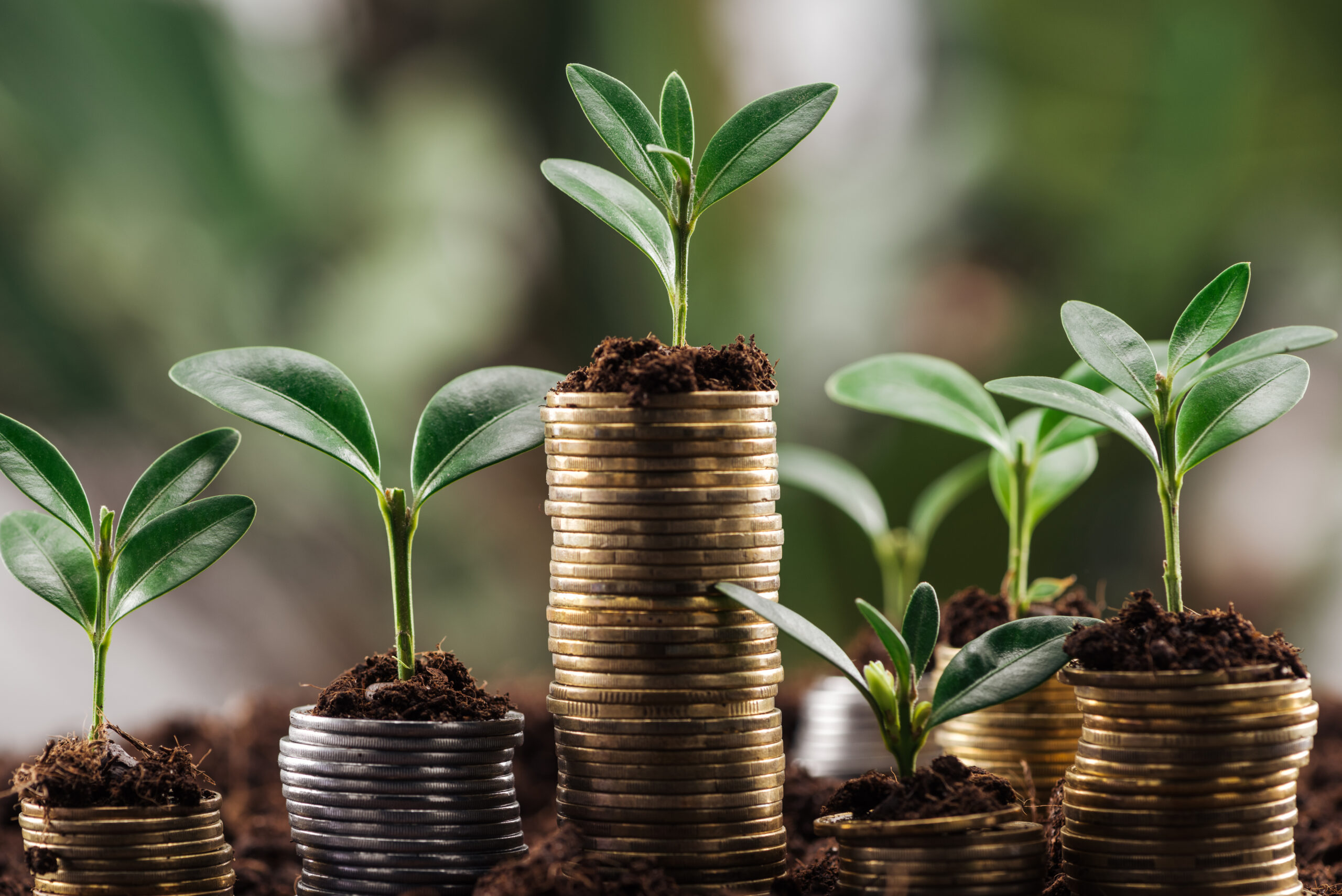 Prioritățile financiare ale românilor: economisirea este înaintea asigurărilor și a investițiilor