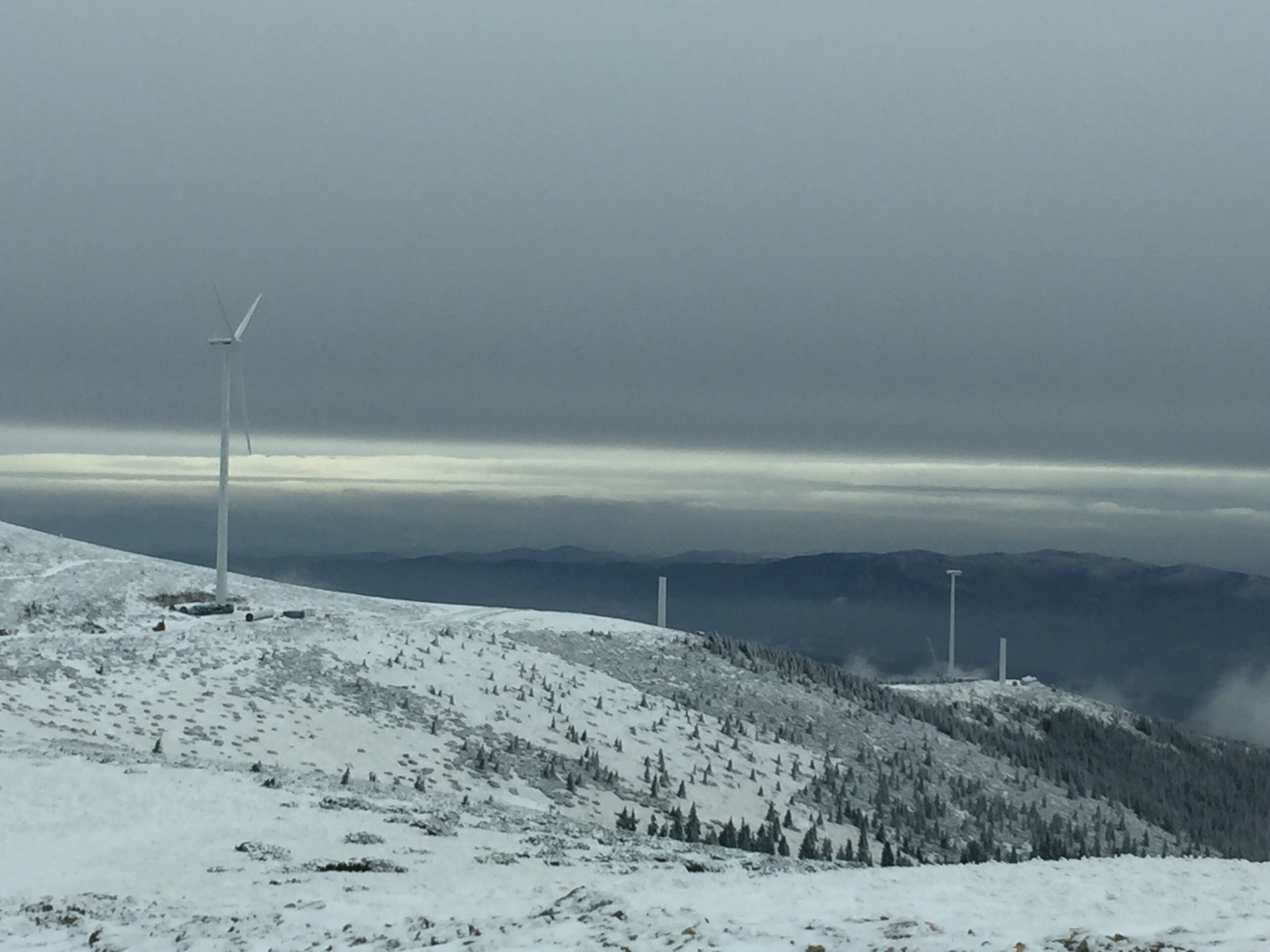 SAPE deține peste 600 de milioane de lei blocați în depozite bancare, în loc să investească în energie