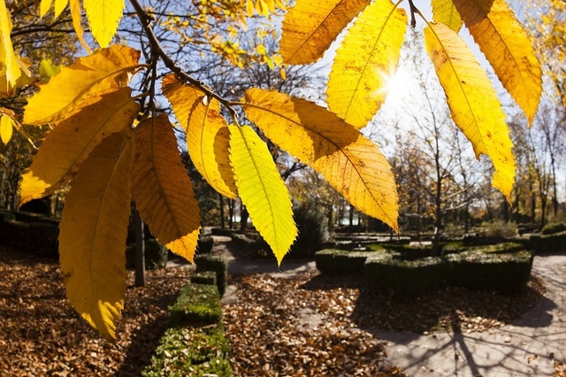 Prognoza ANM pentru următoarele patru săptămâni: Temperaturi peste normal și ploi în estul țării