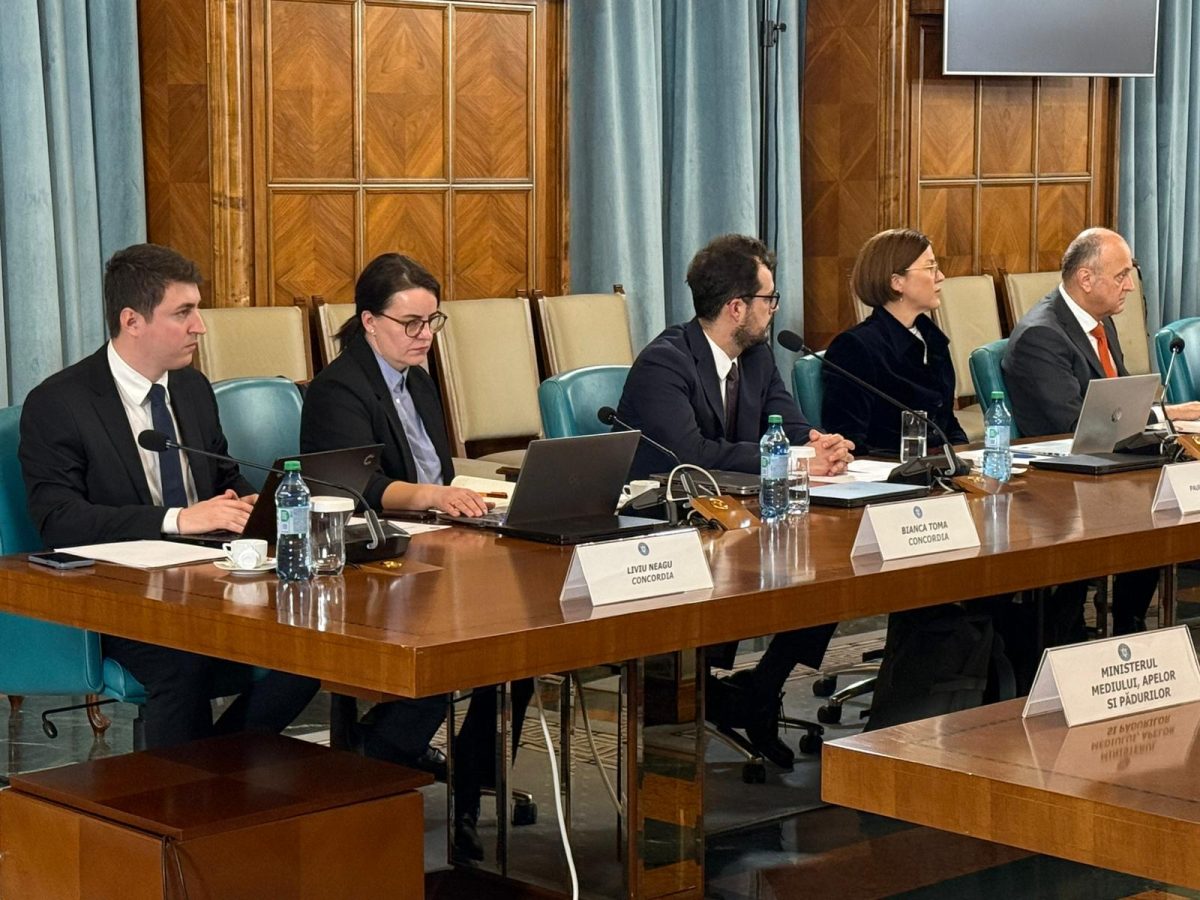 Proiectul „Avocat obligatoriu” pentru firme: Concordia cere retragerea legii pentru a proteja IMM-urile și tehnologia