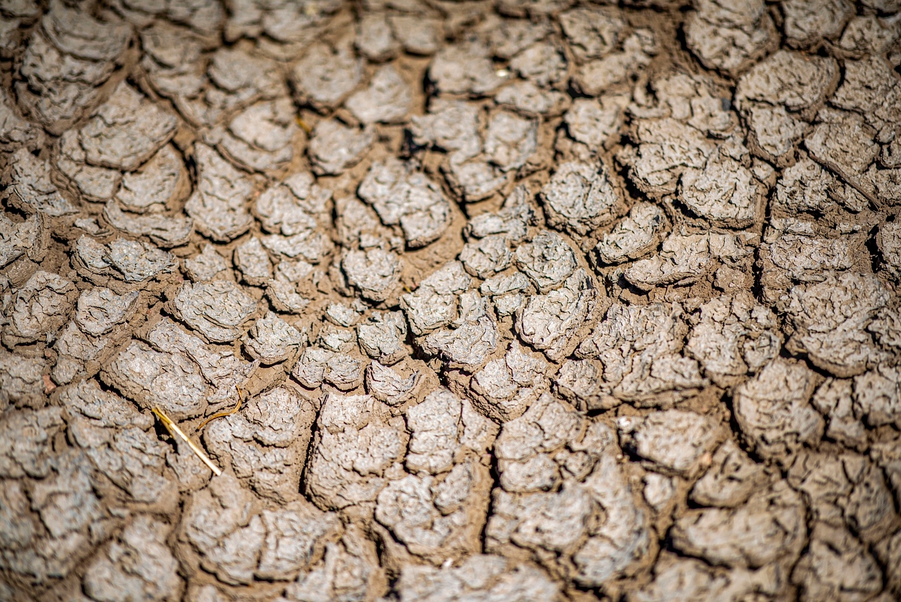 Ministerul Agriculturii modifică modul de calcul al ajutoarelor pentru fermierii afectați de secetă