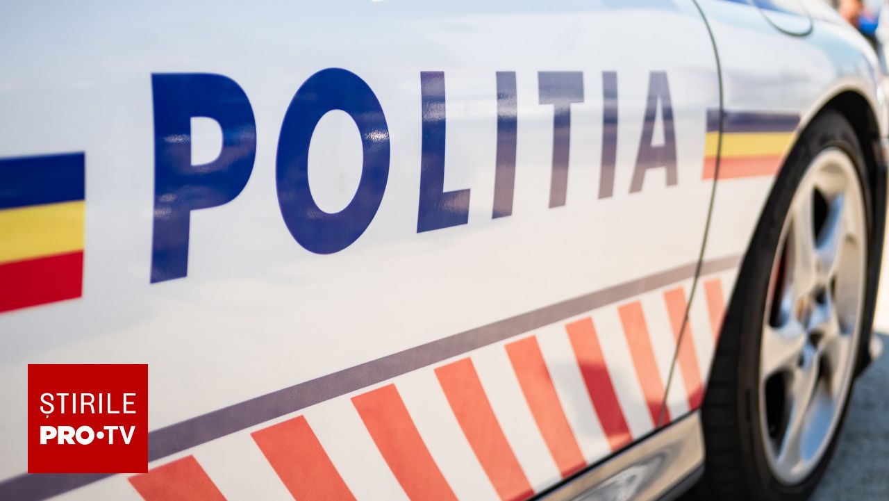 Un bărbat din Brașov a fost amendat cu 12.000 de lei după ce a abandonat doi pui de câine