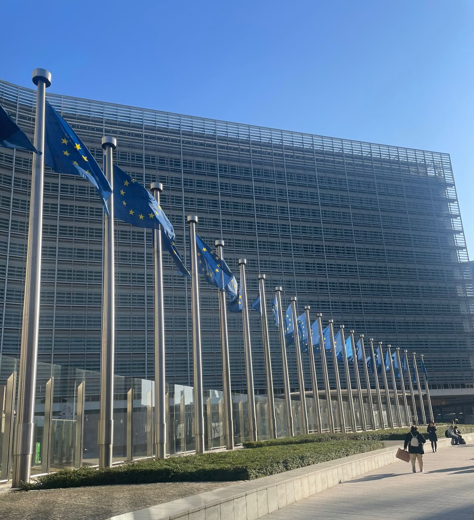 Uniunea Europeană introduce taxa de procesare pentru toate coletele din afara blocului economic