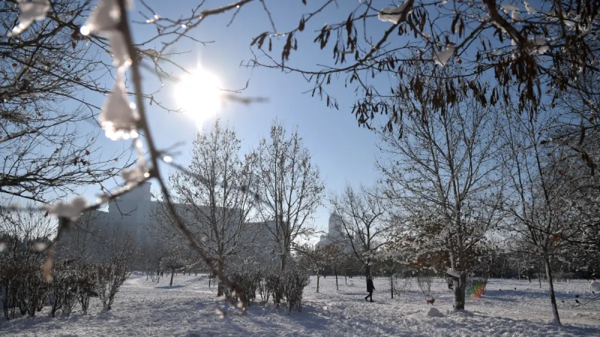 Prognoza pentru iarna în România: Cum pot influența fenomenul El Nino temperaturile și gerul