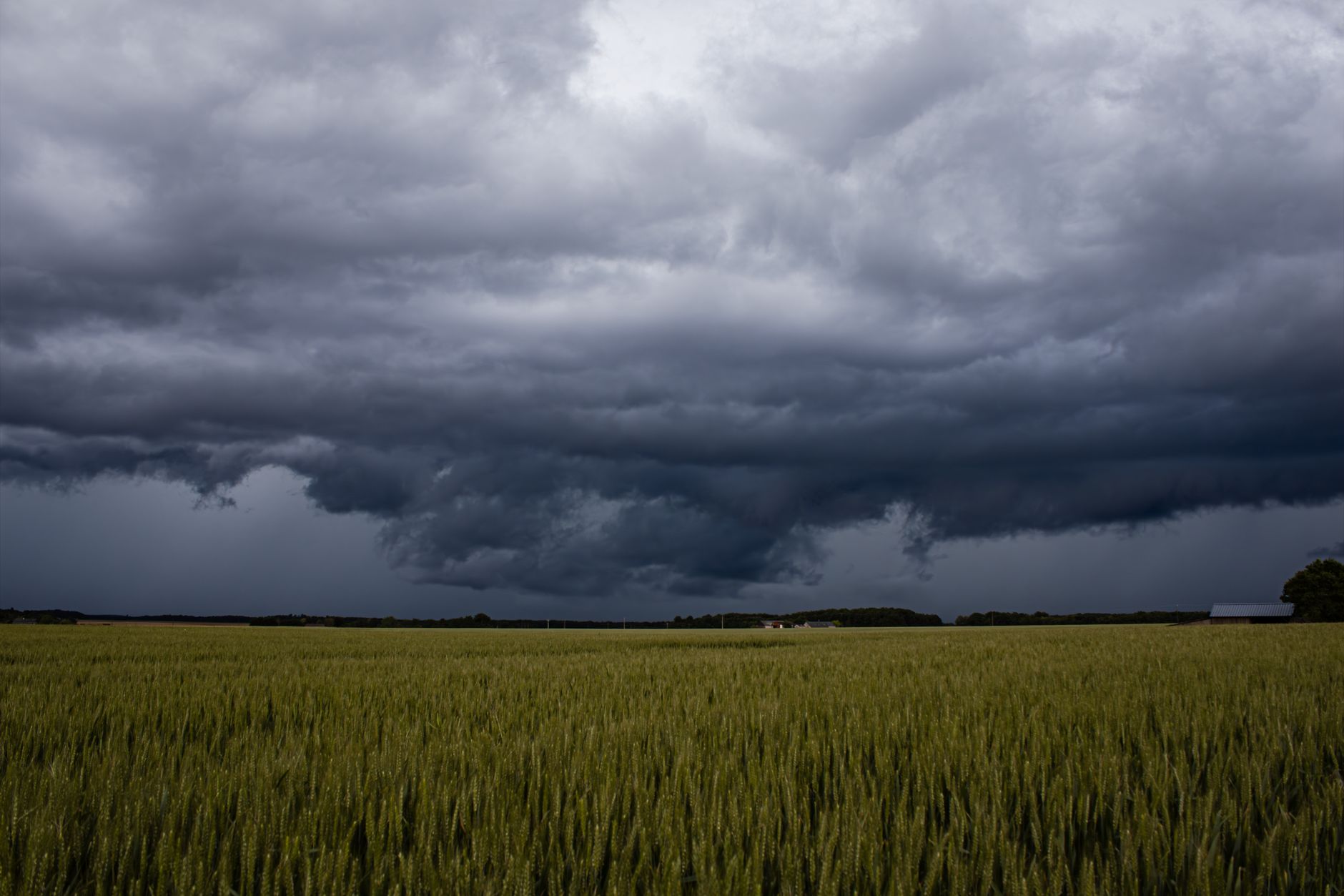 Prognoza ANM pentru noiembrie: Se anunță temperaturi mai scăzute și precipitații peste normal