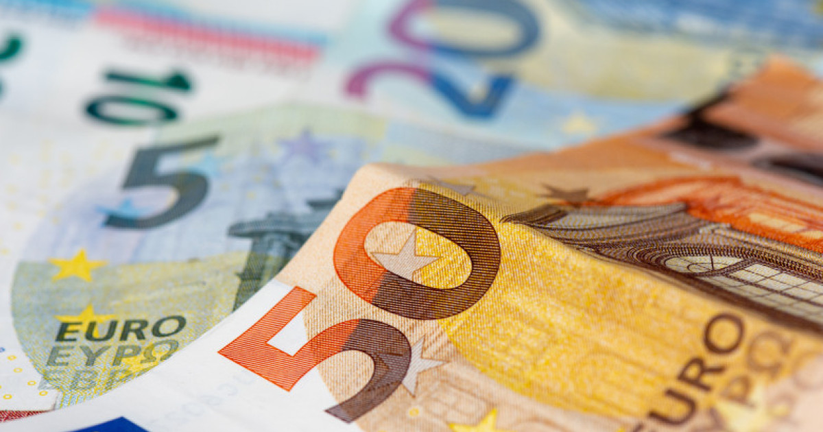 Investitorii străini propun un proiect național pentru adoptarea monedei euro în România