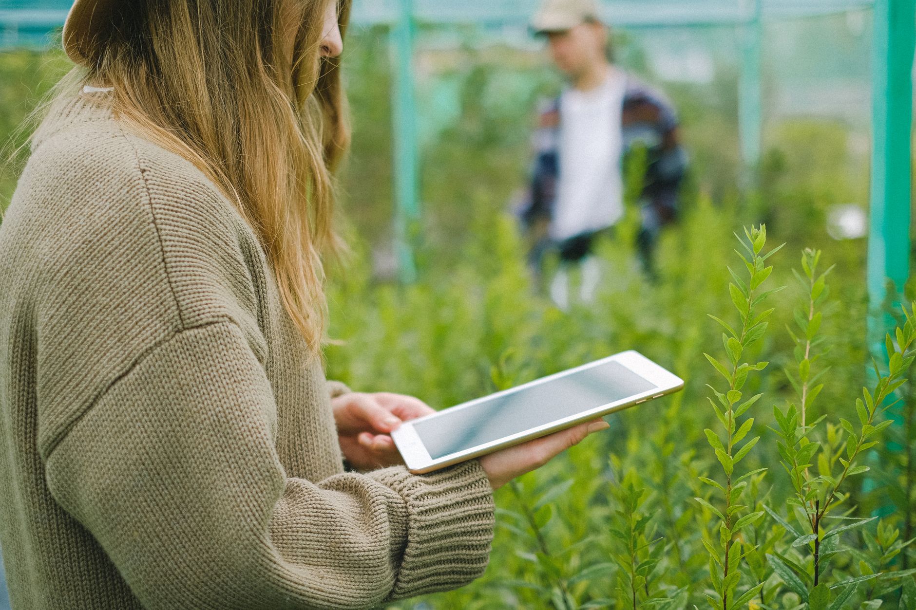 Agri Next 2026: Cum se modernizează agricultura românească prin tehnologie și investiții