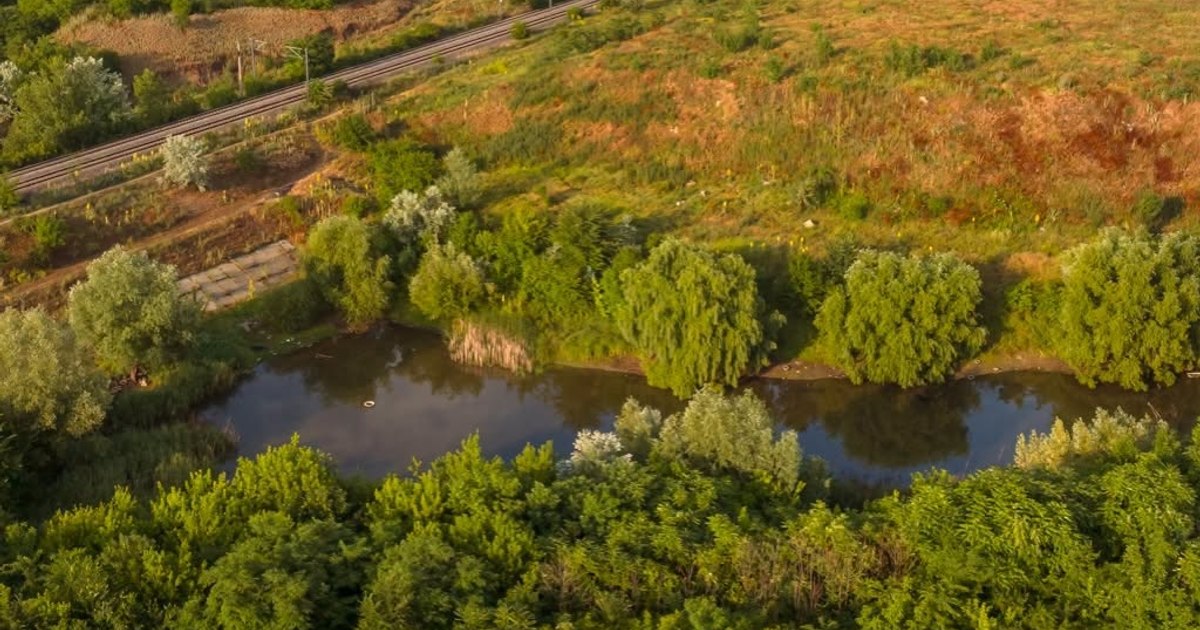 Valea Saulei devine a treia arie naturală protejată din București. Zona cuprinde peste 80 de specii de păsări