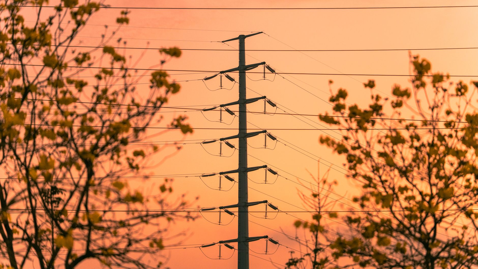 Prețul energiei electrice pe piața spot din România a ajuns la 311 euro/MWh, cel mai mare din Europa