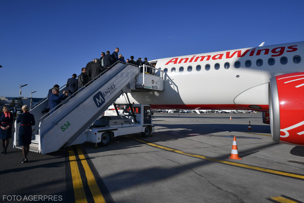 Compania aeriană Animawings intră în insolvență, după ce prima încercare a fost respinsă de instanță