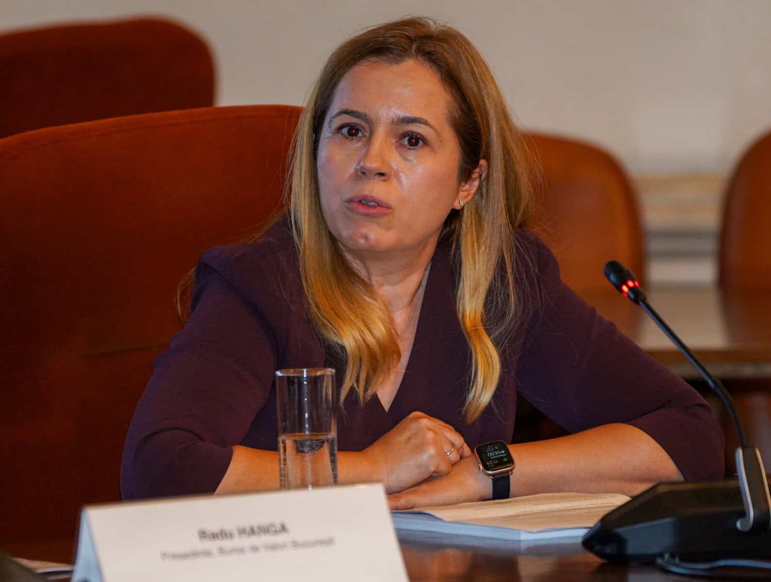 Mihaela Mihăilescu: România trebuie să treacă de la creșterea bazată pe consum la una bazată pe inovare și exporturi