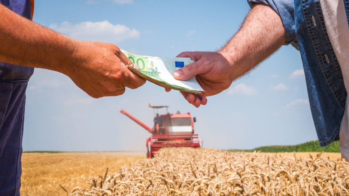 Ajutor financiar pentru fermieri: APIA va plăti compensații pentru creșterea prețului la îngrășăminte
