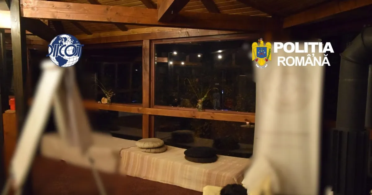 Ancheta pentru trafic de droguri la un retreat de vindecare din Hunedoara: au fost găsite DMT și frunze de coca