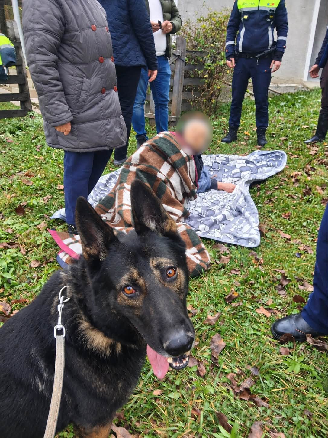 O femeie de 81 de ani a fost găsită în pădure în județul Neamț, după ce câinele Aris a urmat urmele sale