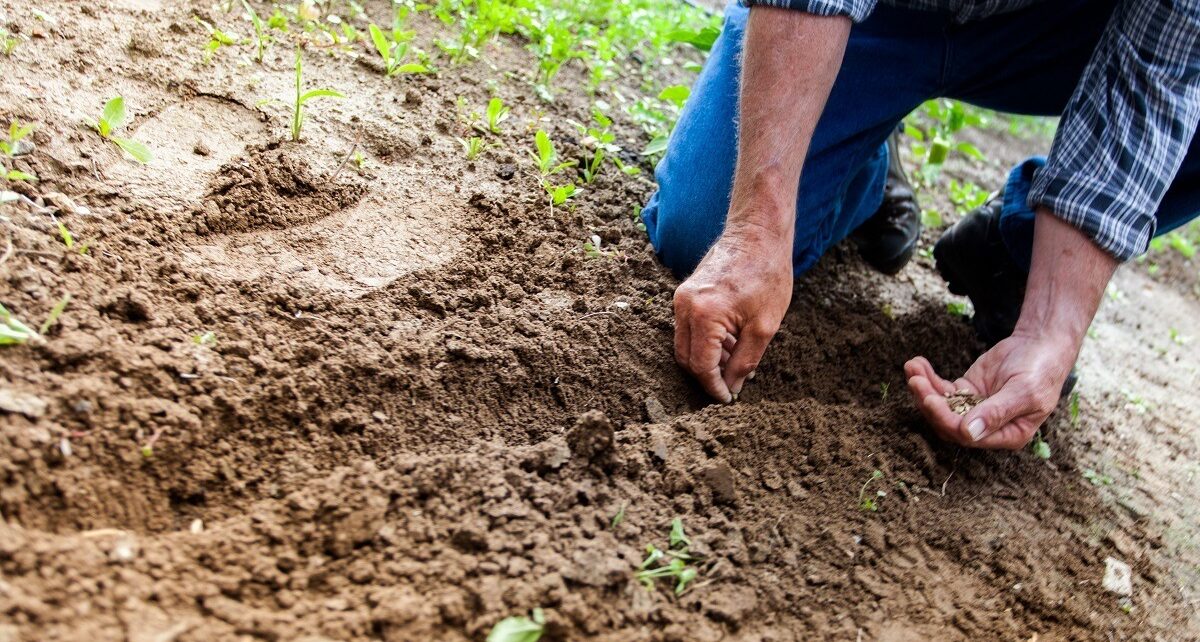Tánczos Barna avertizează că agricultura a pierdut 400 de milioane de lei la rectificarea bugetară