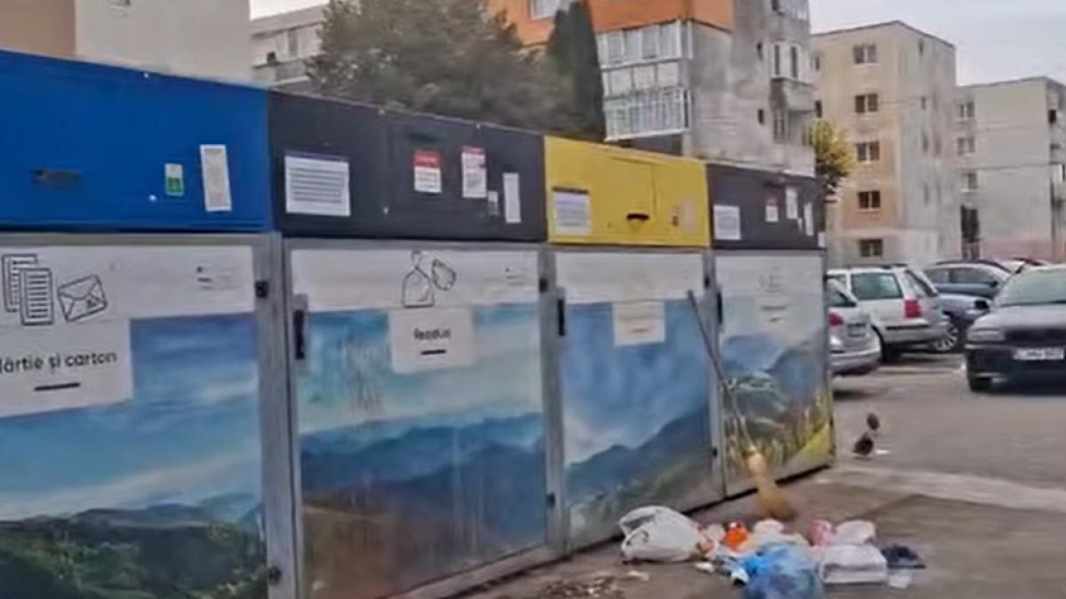 Probleme grave de salubritate în Turda: Rozătoarele au invadat insulele ecologice și curțile grădinițelor
