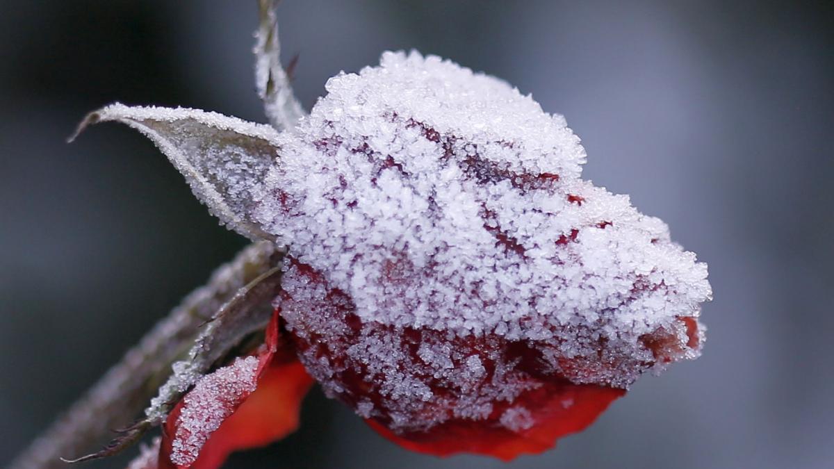 Vortex polar asupra României: Temperaturi scăzute și vânt puternic încep de la începutul săptămânii viitoare