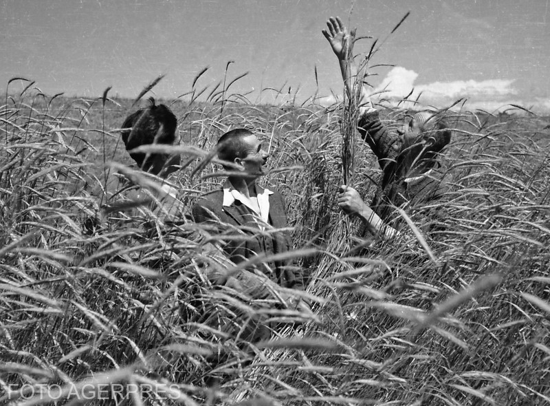 România are un nivel scăzut de asociere în agricultură față de restul Europei