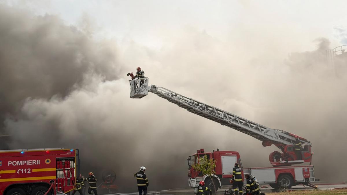 Incendiu masiv la o fabrică de celuloză din Drobeta-Turnu Severin: o hală de 20.000 de mp este cuprinsă de flăcări