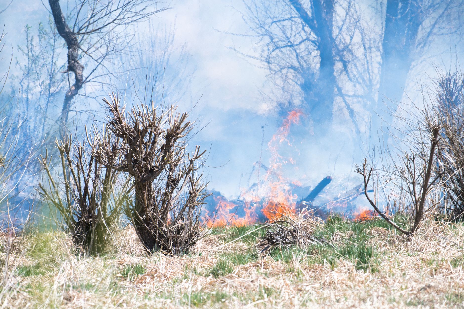 Incendiu de amploare în localitatea Vieru: 120 de hectare de teren au fost afectate de flăcările de duminică seară