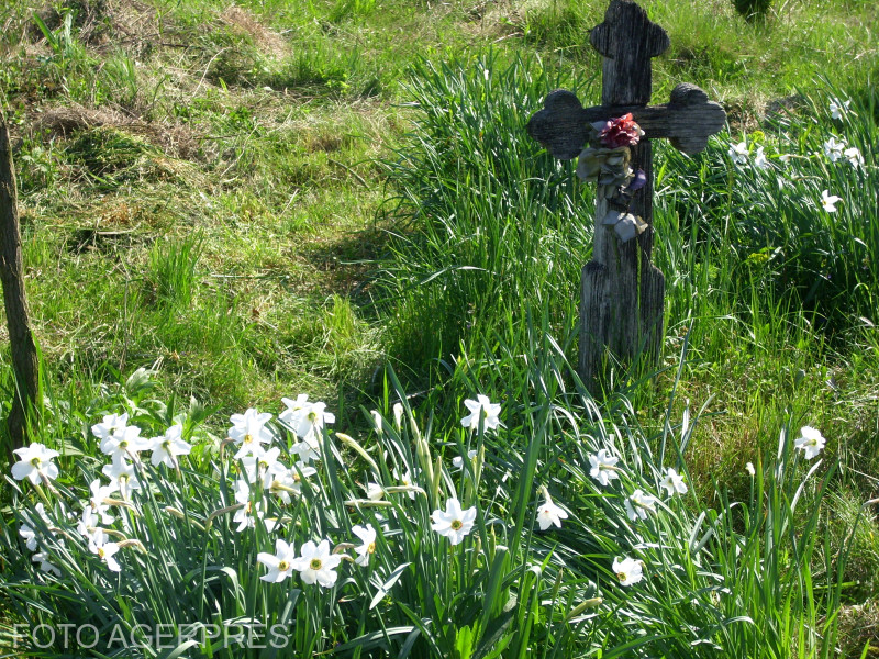 Descoperire macabră la Cimitirul Strehareți din Slatina: saci cu cadavre din perioada pandemiei