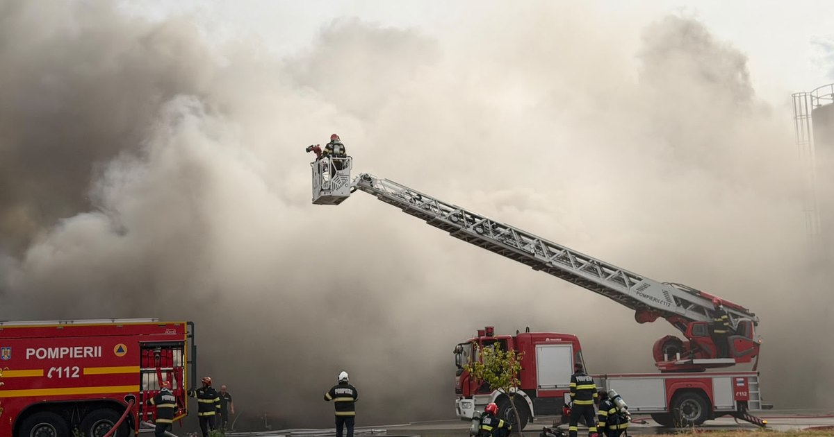 Incendiu de amploare la o fabrică de celuloză din Drobeta-Turnu Severin