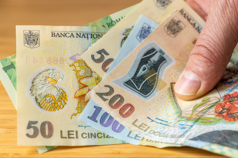 Companiile cu peste 50 de angajați ar putea plăti sume mai mari la stat din cauza noilor reguli pentru unitățile protejate