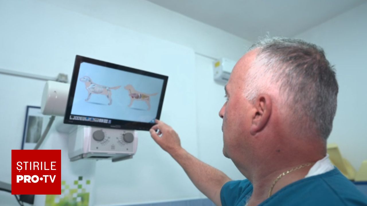 Spitalele veterinare din România devin tot mai specializate, oferind servicii avansate de diagnostic și chirurgie