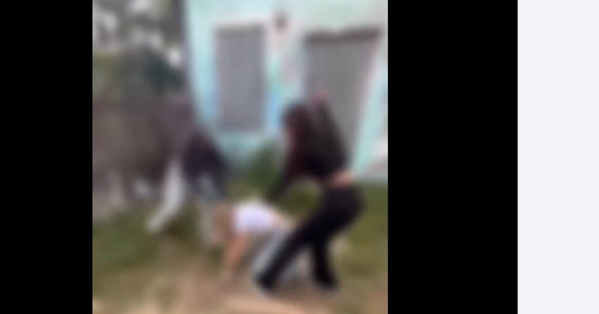Agresiune violentă în Mangalia: trei tinere au atacat o adolescentă de 15 ani, două au fost reținute