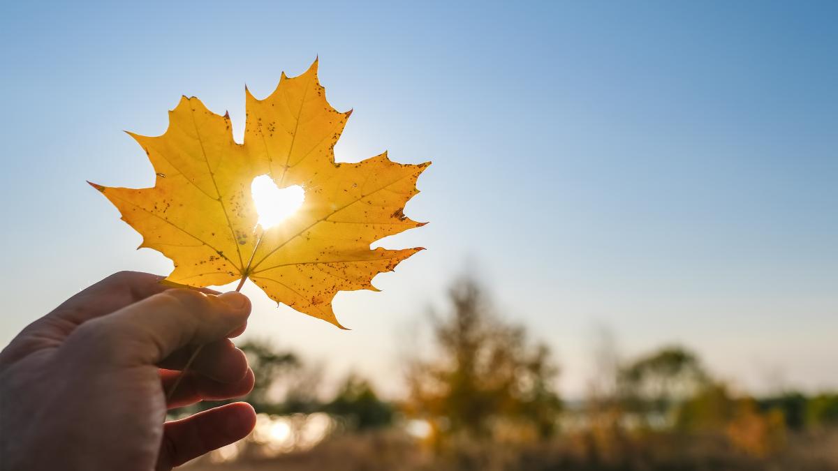 Vremea la finalul lunii septembrie: Temperaturile vor crește în weekend, în special în sud și vest