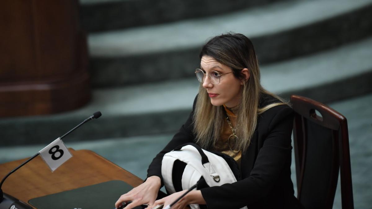 Diana Buzoianu solicită instituirea stării de alertă pentru arderile ilegale de deșeuri din Sintești