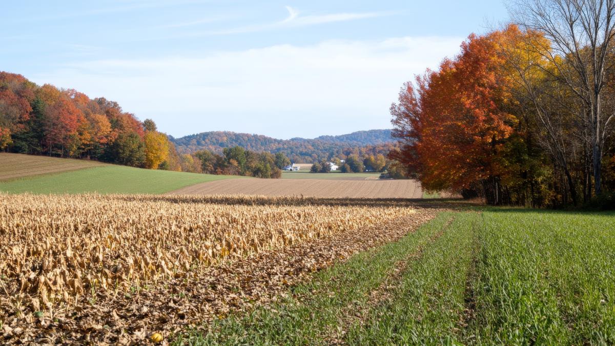 Deficit de precipitații la începutul noului an agricol. Vești proaste pentru agricultură