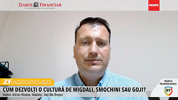 Potențial de export pentru cultura de goji în România: Asociația Producătorilor caută parteneri