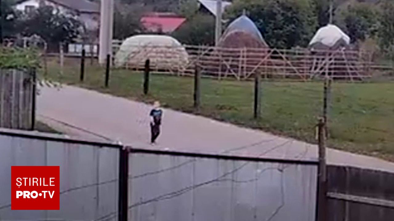 Operațiune masivă de căutare în Dofteana pentru un băiețel de 4 ani dispărut